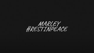 marley - rest in peace (prod. by milena666) [Rina:V] (www.rina-roleplay.com)