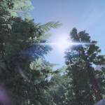 Auroras Nature Lens