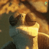 Comment image