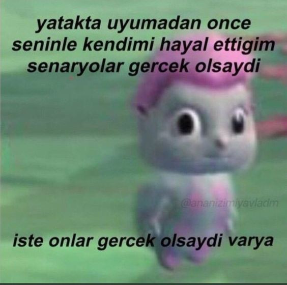 Comment image