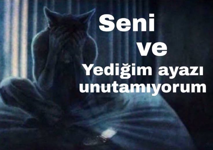 Comment image