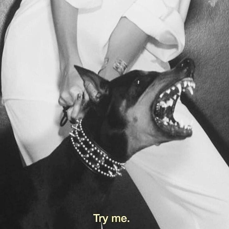 tykeim