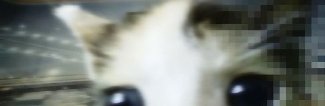 keilaa