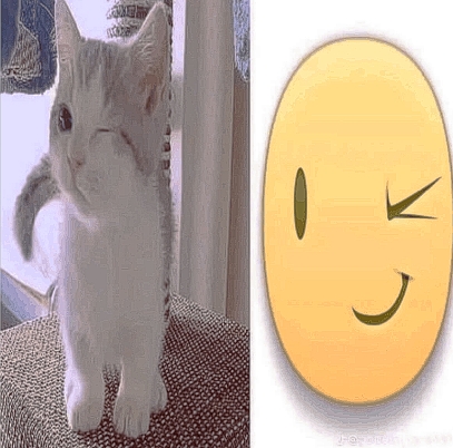 Comment image