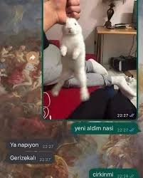 Comment image