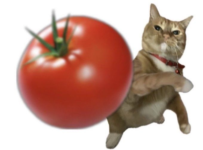 Comment image