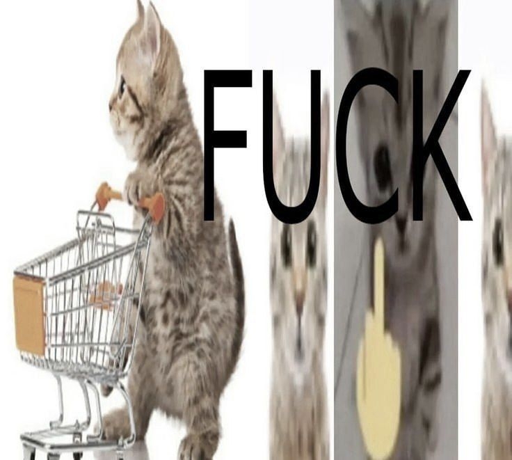 Comment image