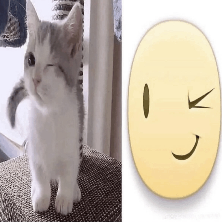Comment image