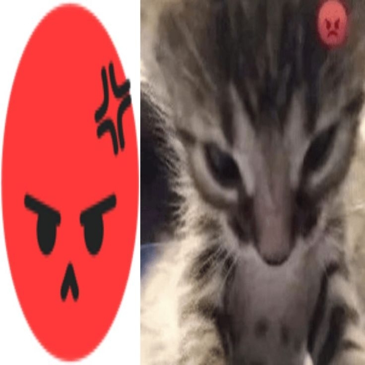 Comment image