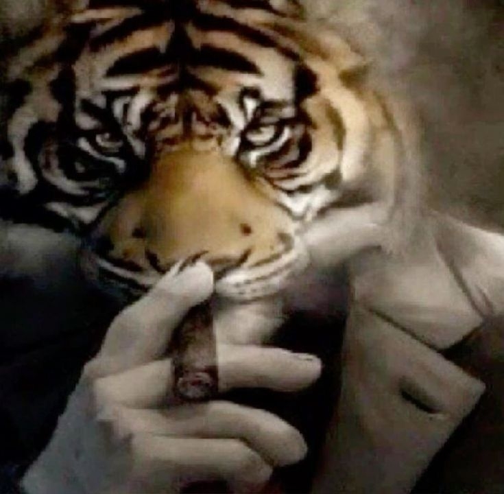 Comment image