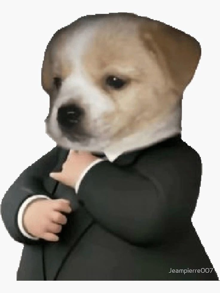 Comment image