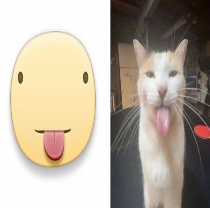 Comment image