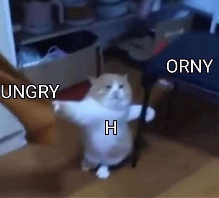 Comment image