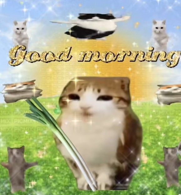 Comment image