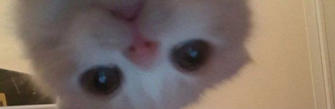 Baby