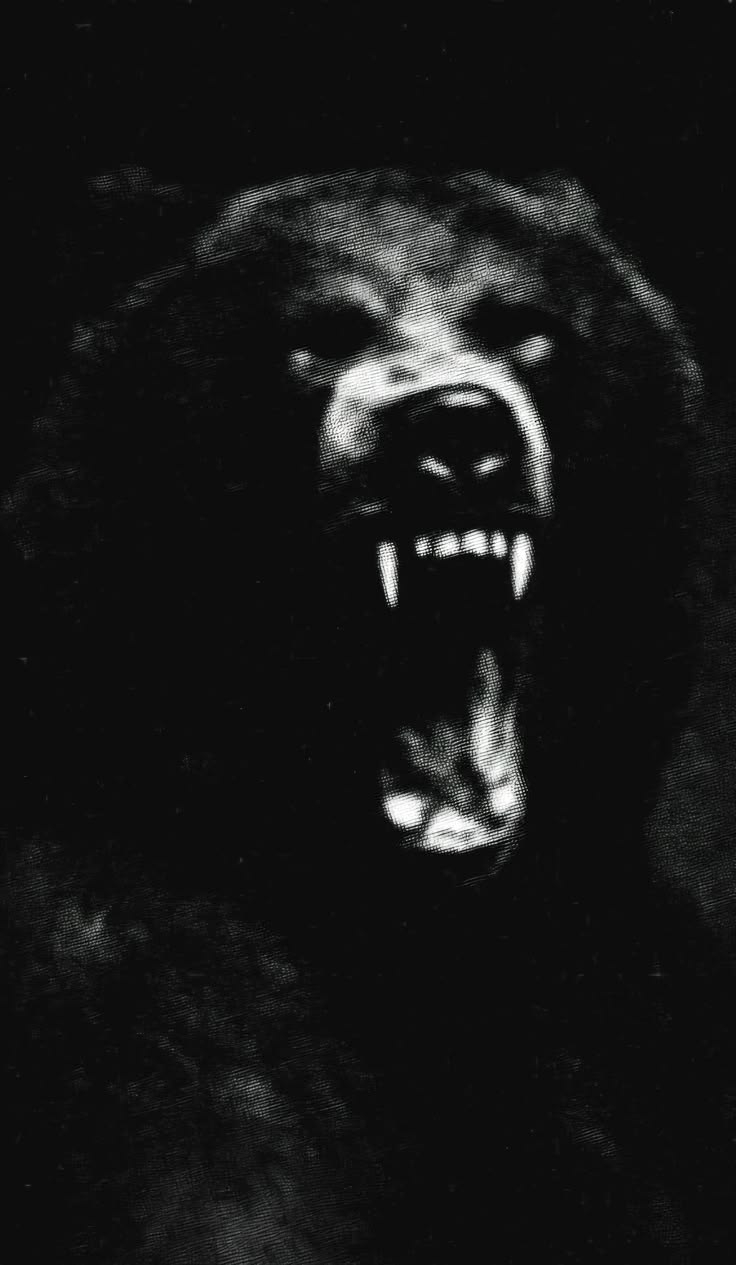 DRAUGMAR BENKNACKARE
