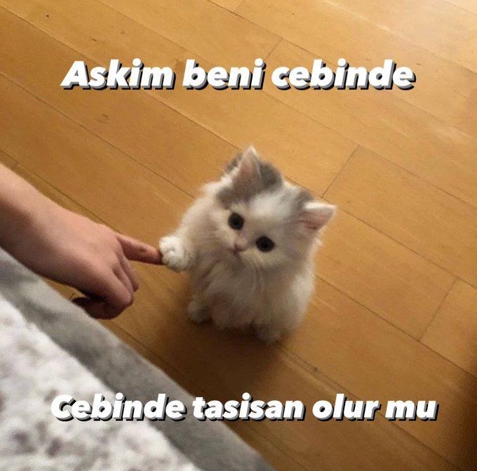 Comment image
