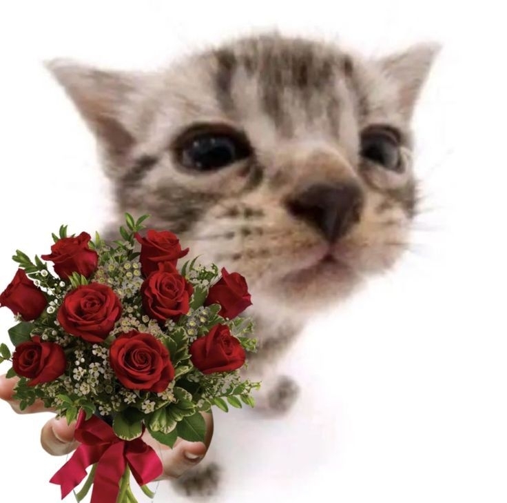 Comment image