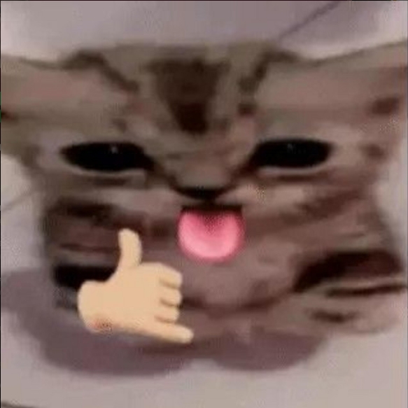 Comment image