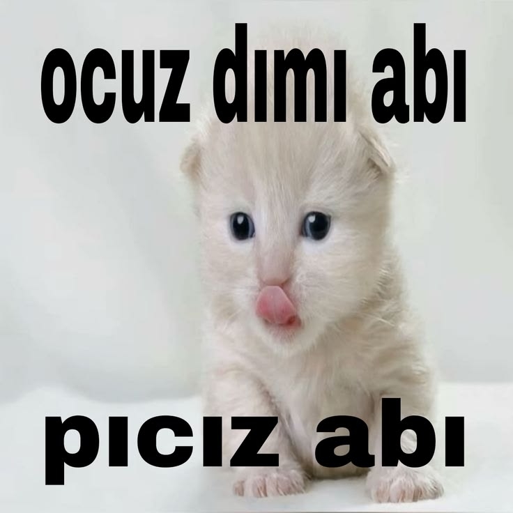 Comment image
