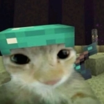 Joel