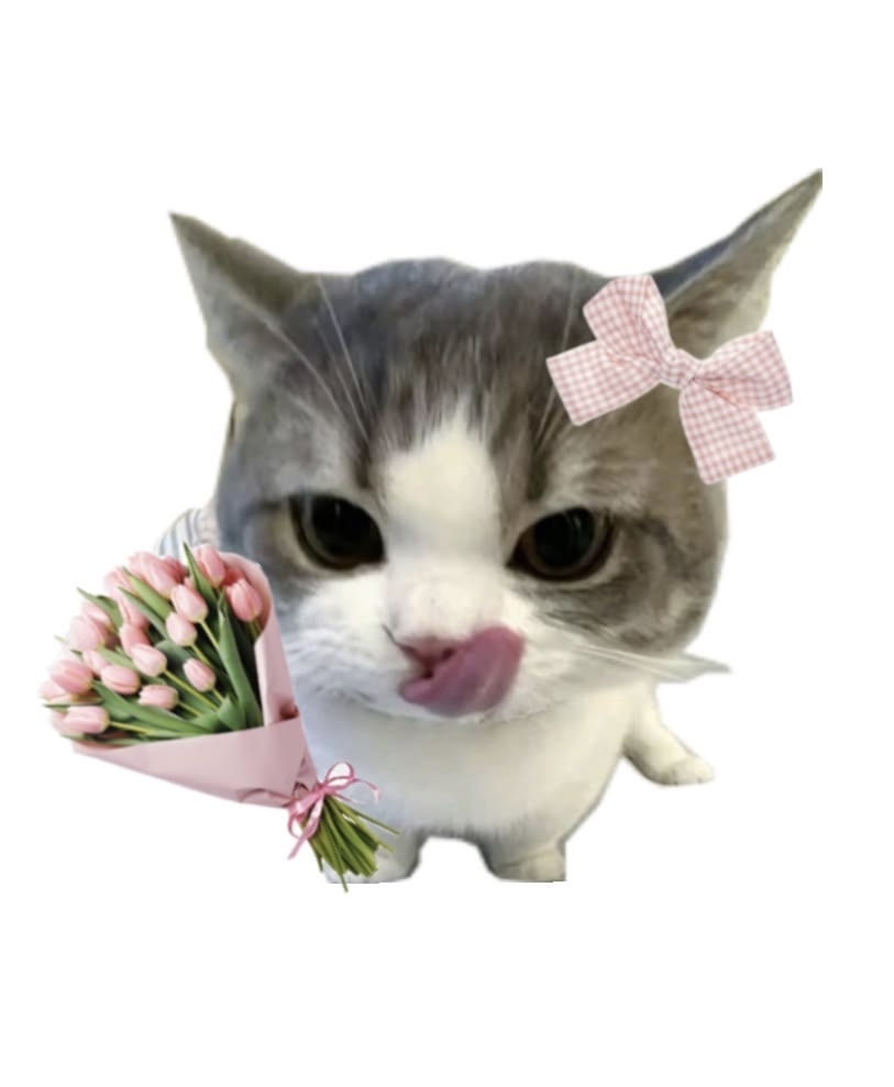 Comment image