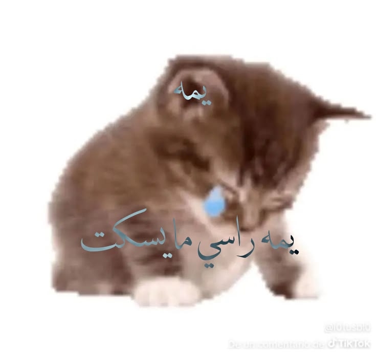 Comment image