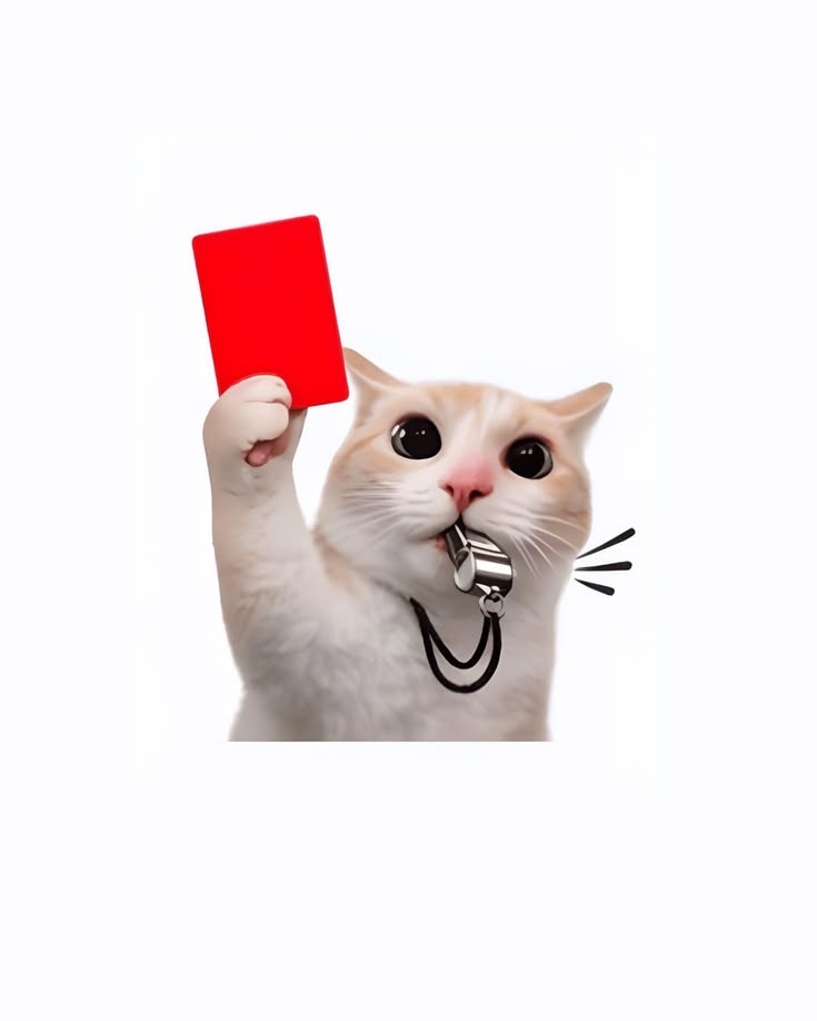 Comment image