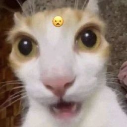 Comment image