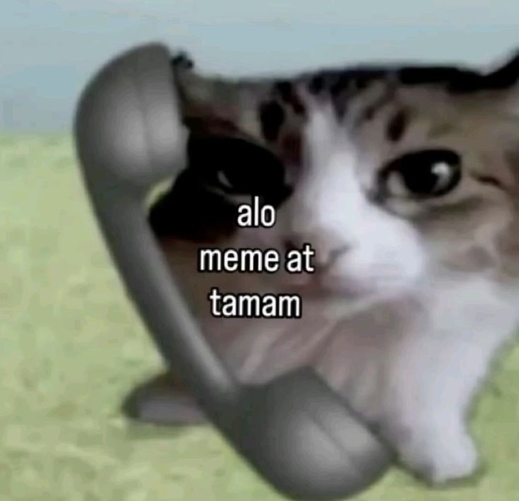 Comment image